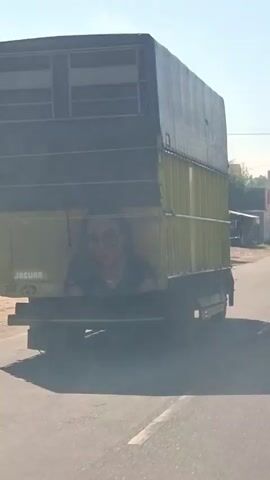 A side view of the back of a truck shows a large image of a woman painted on the rear door. The truck is green and gray, with a tarp covering the top portion. The woman in the painting has glasses and is looking towards the viewer. The truck appears to be moving on a road, as evidenced by the motion blur and the smoke coming from the exhaust. The background is out of focus but suggests a sunny day with some vegetation and buildings. The word "JAGUAR" is visible on the side of the truck.