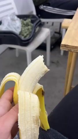The video shows a woman eating a banana in an indoor setting. Initially, the camera focuses on a partially eaten banana held in someone's hand, with trays of green leafy material and white chairs in the background. The camera then pulls back to reveal the woman sitting on a white chair, wearing a green sweater, black scarf, and black Adidas track pants. She is sitting at a wooden table. To her left is a tray filled with the same green leafy material seen earlier. She peels more of the banana and takes a bite. The background of the room includes shelves with containers and a closed white door.