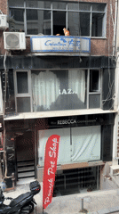 Orange cat spotted at window in Istanbul district