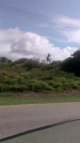A video shows a roadside view of lush green vegetation, including trees and palm trees. The sky is blue with scattered clouds. Power lines are visible overhead. The camera appears to be moving, likely from within a vehicle, as evidenced by the blur and the perspective. The road itself is visible in the foreground, with a lane marker. The vegetation is dense in some areas, with some patches of dirt and debris along the roadside. There are no people or animals clearly visible in the footage. The overall impression is of a rural or semi-rural landscape in a tropical or subtropical region.