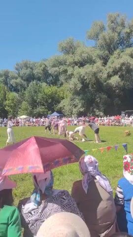 A wide-angle, vertical video captures an outdoor event on a sunny day with a clear blue sky. In the foreground, the backs of several spectators are visible, mostly women wearing headscarves and hats. A large, pink umbrella provides shade for some. The middle ground features a grassy field where a competition is taking place. Several people, some appearing to be children and adults, are participating in a race involving large sacks. They are all bent over, either inside or alongside the sacks, moving across the field. A crowd of spectators is seated on the grass in the background, creating a semicircular formation around the event area. Beyond the crowd, a dense line of trees forms a natural backdrop. Small triangular flags are strung across the field near the participants. The overall atmosphere appears festive and casual.