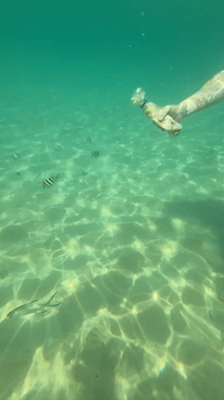 Early morning beach activities documented in Choeng Thale, Thailand