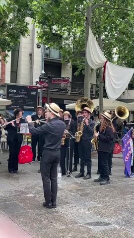 A medium shot captures a live street band performing. Most members wear black attire, and several wear straw hats. The ensemble includes flutes, saxophones, and tubas. A conductor stands in front, directing them. A sign indicating directions to attractions in the city is visible on a nearby pole. A banner and a wrapped-up person are to the side. The scene is outdoors, with trees providing a backdrop.