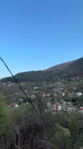 The video shows a scenic view of a small village nestled in a valley against a hillside covered in trees. The sky is a clear blue. The houses in the village are mostly small with red-tiled roofs. White blossoming trees are scattered throughout the village and on the lower slopes of the hill. A line of taller, darker green coniferous trees is visible at the top of the hill. Utility poles and wires cross the foreground. A large evergreen tree branch frames the view on the right.