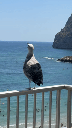 Calp, Spain