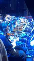 Orchestra performs at Belgrade Spring festival with tulip displays