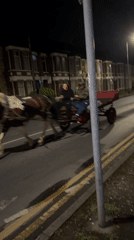 Horse-drawn carriage spotted traveling through Hull streets at night