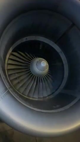 The video presents a close-up view inside what appears to be an airplane jet engine. The central component, resembling a gray orb with small rivet-like details, sits atop a series of numerous turbine blades. The blades are arranged in a circular fashion, and the interior of the engine casing is visible surrounding them. An unidentified tapping or clicking sound is audible throughout the video.