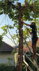 Daily life moments captured in North Kuta, Indonesia
