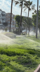 Morning scenes documented across Alanya's beaches and parks