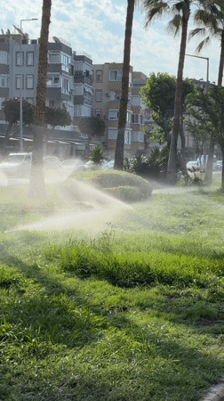 Morning scenes documented across Alanya's beaches and parks