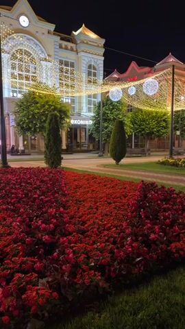 The video displays a nighttime scene in an urban environment. In the foreground, a meticulously manicured flower bed is densely packed with bright red flowers, bordered by a strip of vibrant green grass. A paved pathway runs alongside the flower bed, leading into the midground. Beyond the pathway, more flower beds with a mix of red, yellow, and pink flowers are visible. Several tall, conical trees are strategically placed throughout the midground, adding vertical elements to the landscape. In the background, a brightly lit building stands out against the dark night sky. The building features architectural details like arched windows and ornate trim, all illuminated by strings of warm, golden lights. Large, spherical white light installations hang suspended from poles in front of the building, further enhancing the festive atmosphere. The overall impression is one of a well-maintained public space, likely a park or a square, decorated for an evening event or celebration. There are no people visible in the frame.