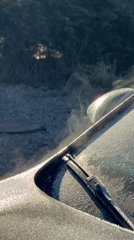 Morning moments captured in Riga: selfie and frosted windshield