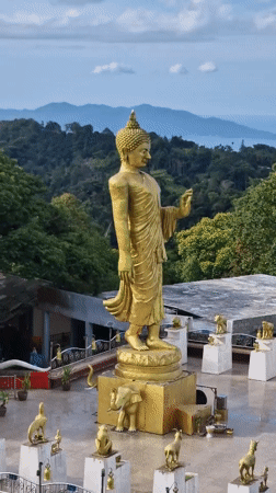 Temple visit and donation captured at Ko Samui Buddhist site