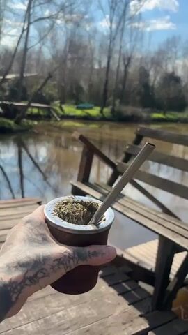 A first-person perspective video shows a hand holding a mate cup with a metal straw. The mate is on a wooden dock, with a body of water and trees in the background. The water reflects the trees and the sky. There is a wooden bench on the dock. The sky is blue with some clouds. The sun is shining. The scene appears to be outdoors in a natural setting.