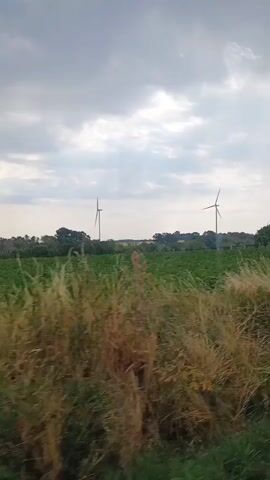 The video shows a landscape with wind turbines in the distance. There are fields of crops and dry grass in the foreground. There are also trees and a fence line. The sky is overcast with clouds. The video is a stationary shot, possibly taken from a vehicle, with no people or animals visible in detail.