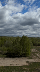 Dog watches clouds from window in Russian town