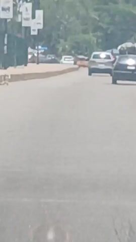 The video shows a blurry view from inside a vehicle, looking out onto a busy road. In the distance, several cars and motorcycles are driving along the road. One car in particular has luggage or other items secured to its roof. The environment appears to be an urban or suburban area with trees visible in the background. The focus and clarity of the video are poor, making it difficult to discern specific details.