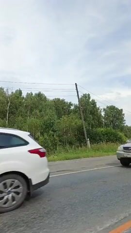 The video shows a side view of traffic on a road. In the foreground, a silver SUV with a roof box is traveling to the left. Behind it, a large white semi-trailer truck with a light-colored tarp covering its cargo is also moving. The truck has blue trim on its lower body. The video captures a portion of the truck's wheels and chassis. The environment appears to be rural, with trees and vegetation visible along the side of the road. The sky is partly cloudy. The footage is taken from a moving vehicle, likely another car in traffic, as evidenced by the dynamic perspective and motion blur.