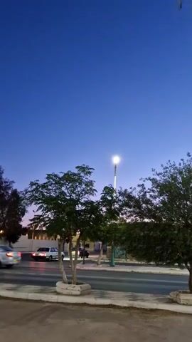 The video shows a street scene at dusk or dawn. The sky is a deep blue, transitioning to a lighter hue near the horizon. A single street lamp is illuminated in the distance. Two trees, one with delicate, drooping leaves and another with denser foliage, are in the foreground, framing the street. A white car is seen driving on the asphalt road, its headlights on. Buildings with lights visible in their windows line the opposite side of the street. The scene suggests a quiet, transitional moment between day and night in a small town or suburban area.