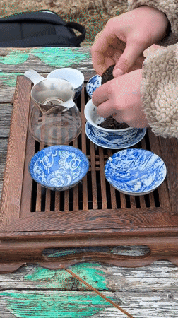 Spring activities documented in rural Belarus village