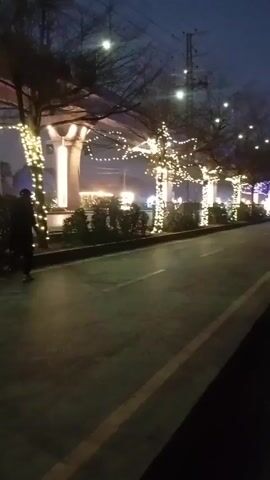 The video shows a nighttime street scene, likely in a city or town. The road is smooth, with painted lines indicating lanes. Rows of trees line the side of the road, decorated with numerous strings of small, warm-toned lights, creating a festive or celebratory atmosphere. Behind the trees are buildings or structures, also lit up with similar decorative lights, some in a blue hue. The lighting suggests it might be a holiday season. The camera pans slightly, offering a wider view of the street and its decorations. The overall impression is of a peaceful, illuminated urban landscape at night.