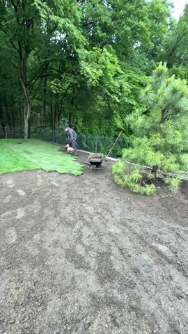 Two men are engaged in landscaping work, laying sod to create a new lawn. One man is kneeling on the ground, carefully unrolling sections of vibrant green turf onto a prepared area of dark, moist soil. The other man stands slightly further back, observing or preparing the ground, with a black wheelbarrow situated between them. The wheelbarrow appears to contain a tool, possibly a shovel or rake.

The scene is an outdoor setting, likely a garden or backyard, bordered by a dense forest of tall, green deciduous trees in the background. A wire fence runs along the edge of the wooded area. In the right foreground, a green pine tree with long needles is visible. The ground where the sod is being laid is bare earth, contrasting with the lush green of the newly placed grass. The lighting suggests an overcast day, providing soft, diffused light for the work. The activity takes place in Nový Jáchymov, Czechia.
