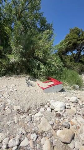 This media file depicts a picturesque beach scene in Kassandra, Greece, on a bright, sunny day. The foreground is dominated by a rocky shoreline covered in smooth, weathered stones of various sizes. Nestled amongst the rocks and sand is a small, weathered red and white boat, partially buried and seemingly abandoned.

Behind the boat, lush green vegetation thrives, with tall reeds and grasses crowding the edge of the sandy beach. Further back, a large, mature pine tree with a dense canopy stands prominently against a clear, vibrant blue sky. In the distance, glimpses of other trees and a building suggest a developed area or resort along the coastline. The gentle lapping of waves can be inferred from the presence of the sea and the beach setting.

The overall mood is one of peaceful, natural beauty, with the abandoned boat adding a touch of melancholy or history to the scene. The bright sunlight and clear blue sky indicate it is midday or early afternoon. There is no visible text in the media file.
