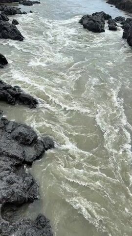 The video shows a fast-flowing river, with turbulent water swirling around dark, jagged rocks on either side. The water is a milky grey-green color, full of white froth from the rapids. In the distance, the river winds between tree-covered hills under an overcast sky. The camera angle is high, looking down on the river.