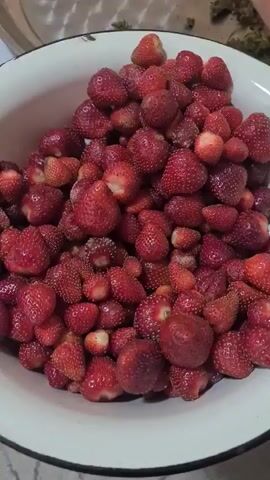A white bowl filled with ripe strawberries sits on a surface. The camera slowly pans across the strawberries, offering a close-up view of their texture and deep red color. Some strawberries are larger and plumper, while others are smaller and more intensely colored. The strawberries appear fresh and ready to eat or process.