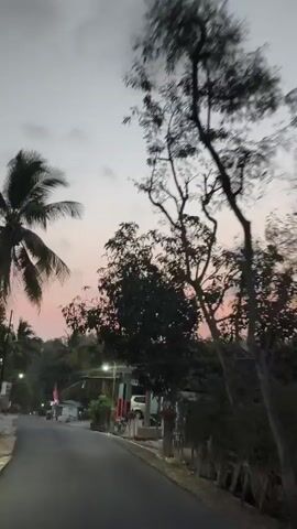 The video is an exterior, medium-angle, ground-level shot looking down a paved road lined with trees and small buildings, with a pinkish-gray sky in the background. The road curves gently to the left and continues into the distance. On the right side of the road are several small buildings, some with visible lights, and what appear to be small shops or residences. A motorcycle is parked on the right. On the left side of the road are more trees, including several palm trees, and a few more small structures. A pink flag on a pole is visible on the right side of the road. The lighting suggests it is either dusk or dawn, with soft, diffused light. The overall atmosphere is peaceful and quiet. There are no people clearly visible in the frame.