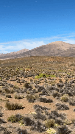 Road crew conducts maintenance work near Putre, Chile