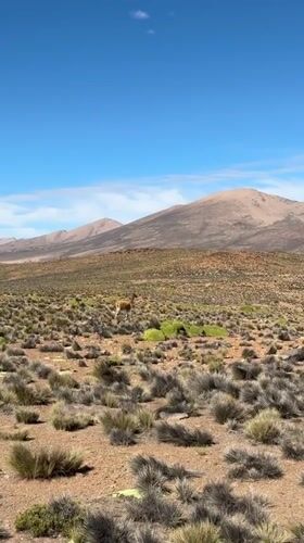 Road crew conducts maintenance work near Putre, Chile