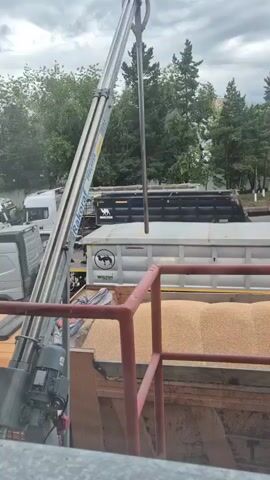 A large industrial crane arm extends over a truck bed filled with grain. The crane appears to be in the process of loading or unloading the grain. Several other trucks and trees are visible in the background, suggesting an outdoor industrial or agricultural setting. The sky is overcast.