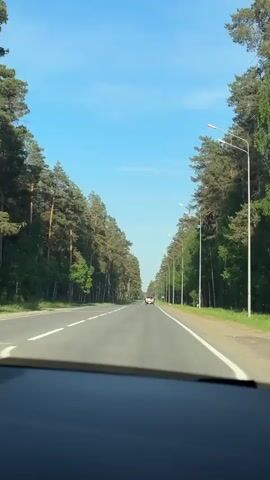 A static shot, filmed from inside a vehicle looking out through the front windshield, presents a view of a straight highway flanked by a dense forest on both sides. Tall pine trees with green needles line the roadside, creating a symmetrical corridor. The sky is clear and blue with minimal cloud cover. Streetlights are positioned along the right side of the road, spaced at regular intervals. In the distance, a car can be seen driving away on the highway. The camera angle is slightly obstructed by the dashboard of the vehicle.