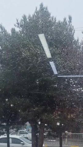 The video shows a snowy scene viewed through a window. Two trees, one a coniferous evergreen and the other bare-branched, are visible. The coniferous tree is on the left and the bare tree is on the right. Both are lightly coated with snow. Snowflakes are falling. Below the trees, a sidewalk and street are visible, with cars parked along the curb. There is a metal fence between the sidewalk and the street. Some reflections are visible on the window.