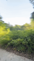 ATV ride through green forest paths near Smolyan, Bulgaria