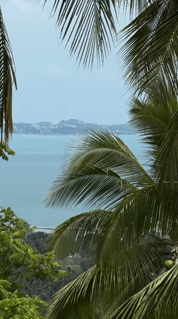 Early morning tropical scenes captured in Ban Tai Subdistrict