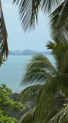 Early morning tropical scenes captured in Ban Tai Subdistrict