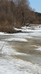 Spring thaw documented in Malyi Bukor waterways with wildlife