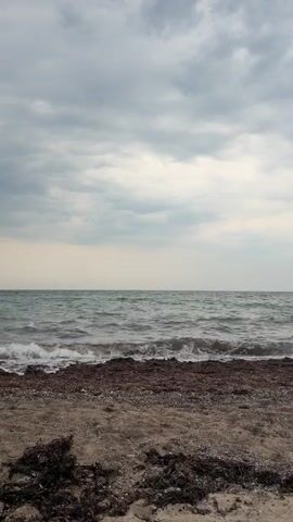 The video shows a close-up, eye-level shot of a beach and the ocean. The foreground is a sandy beach with seaweed and debris scattered across it. The middle ground is the ocean, with moderate waves breaking on the shore. The background is a cloudy sky. The overall mood is somber and still.
