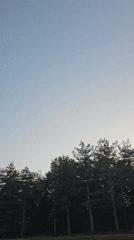 Evening drive captures silhouetted trees against blue sky in France