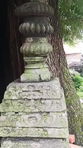 The video shows a stone structure, possibly an ancient monument or shrine, partially covered in moss. The structure is made of stacked stone blocks, with intricate carvings visible on some of the layers. A hollow rectangular opening is present at the base of the structure, suggesting it may have served a functional or symbolic purpose. A large tree trunk is visible behind the structure, and the surrounding environment appears to be outdoors, with greenery and fallen leaves suggesting a natural setting. The video pans down the structure, showing its details from top to bottom.