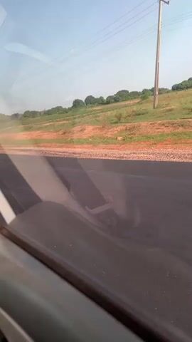 The video shows a view from inside a car driving on a road. The landscape outside the car window features a flat expanse of land with a mix of brown soil and green vegetation. Overhead power lines run parallel to the road. As the car drives, the view shifts to show the interior, including the car's ceiling, a passenger seat, and the front dashboard area. A road roller can be seen ahead on the road.
