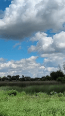 Hay harvest in full swing across Ustyvytsia fields