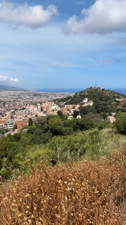 Witness documents Barcelona cityscape from elevated viewpoint over 28 minutes