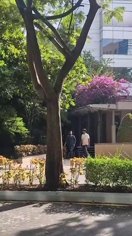 The video shows a tree in the foreground with green leaves. Behind the tree, there is a modern building with glass windows. Pink flowers are visible on the building's roof. Two men are walking near the building's entrance, which is flanked by two conical bushes and a sign indicating accessibility. The ground in front of the building is paved, and more green bushes are lining a walkway. The sun is casting shadows on the ground.