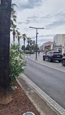 The video shows a street scene with palm trees and oleander bushes. There are cars on the road, including a black SUV. People are walking on the sidewalk. In the background, there is a harbor with many sailboats. A white van with markings is parked on the side of the road. The sky is cloudy. The video pans from the street to the harbor.