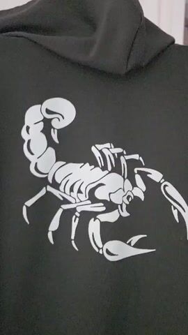 A black hoodie with a white scorpion graphic is shown. A small white figure, possibly a bird, is near a white panda figurine with black markings, which is draped with the hoodie. The objects are on a white surface, with a white cabinet in the background.
