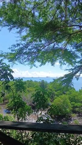 From a vantage point through lush greenery, the camera captures a serene seascape under a bright, blue sky dotted with puffy white clouds. Several large cargo ships dot the distant horizon, along with a smaller boat cruising near the foreground. The vibrant green foliage of various trees and plants fills the lower portion of the frame, some branches partially obscuring the view, creating a natural frame. A glimpse of a small stream or canal is visible winding through the vegetation.
